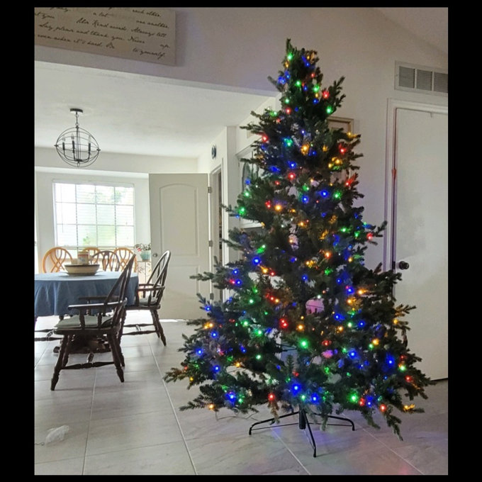 Birch Lane™ 7.5' Lighted Artificial Fir Christmas Tree & Reviews